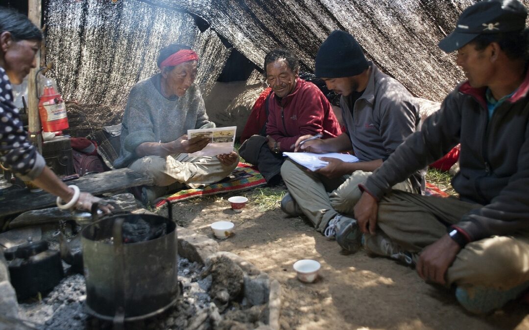 Rinzin Phunjok Lama: Biodiversity & Culture Conservation in One of the Most Remote Places