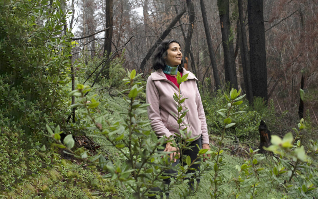 Maya Khosla: On Fires, Forests & Wild Elders