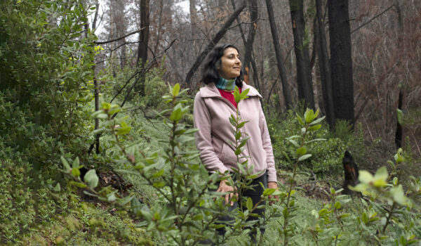 Maya Khosla: On Fires, Forests & Wild Elders